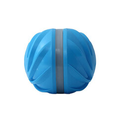 Cheerble interaktiivne pall, sinine hind ja info | Koerte mänguasjad | hansapost.ee