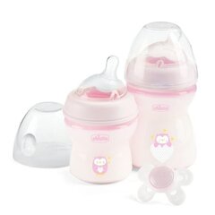 Lutipudelite komplekt Chicco, roosa, 2 tk price and information | Baby bottles and accessories | hansapost.ee