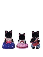 Семья черных котят Sylvanian Families цена и информация | Игрушки для девочек | hansapost.ee
