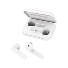 Forever Bluetooth earphones TWE-110 Earp white hind ja info | Forever Arvutid ja IT- tehnika | hansapost.ee