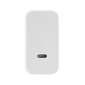 OnePlus SuperVOOC, USB-C PD 160W white hind ja info | Laadijad mobiiltelefonidele | hansapost.ee