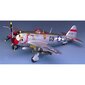 Liimitav mudel Academy 12491 P-47D Bubble top 1/72 цена и информация | Liimitavad mudelid | hansapost.ee