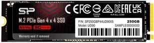 Dysk SSD Silicon Power UD90 250GB M.2 PCIe NVMe Gen4x4 NVMe 1.4 4500/1950 MB/s hind ja info | Sisemised kõvakettad | hansapost.ee