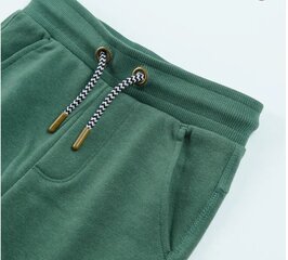 Cool Club штаны для мальчиков, CCB2512979 цена и информация | Штаны для мальчиков | hansapost.ee