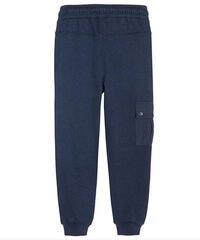 Cool Club штаны для мальчиков, CCB2523065 цена и информация | Штаны для мальчиков | hansapost.ee