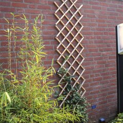 Nature aiavõre 45 x 180 cm, bambus цена и информация | Заборы и принадлежности к ним | hansapost.ee