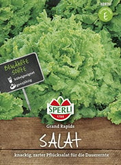 Листовой салат Grand Rapids цена и информация | Семена овощей, ягод | hansapost.ee