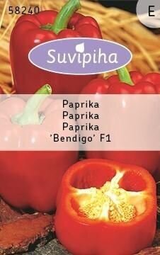 Paprika, üheaastane Bendigo F1 цена и информация | Marja- ja köögiviljaseemned | hansapost.ee