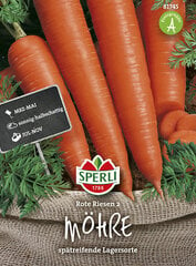 Porgand Rote Riese2 цена и информация | Семена овощей, ягод | hansapost.ee