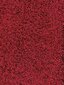 Narma narmasvaip Spice, punane, 80 x 160 cm цена и информация | Vaibad | hansapost.ee