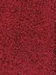 Narma narmasvaip Spice, punane, 160 x 240 cm цена и информация | Vaibad | hansapost.ee