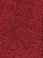 Narma narmasvaip Spice, punane, 200 x 300 cm цена и информация | Ковры | hansapost.ee