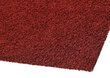 Narma narmasvaip Spice, punane, 200 x 300 cm hind ja info | Vaibad | hansapost.ee