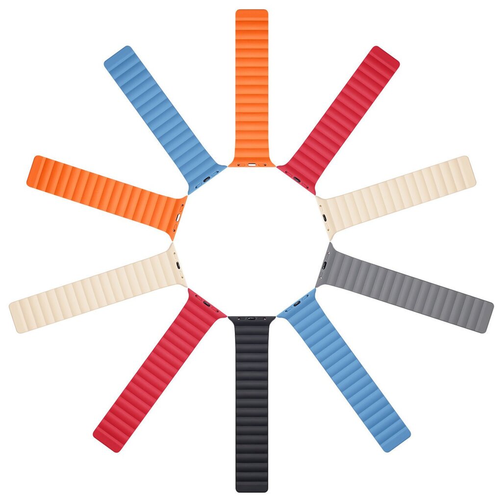 Dux Ducis Magnetic Watch Band hind ja info | Nutikellade aksessuaarid ja tarvikud | hansapost.ee