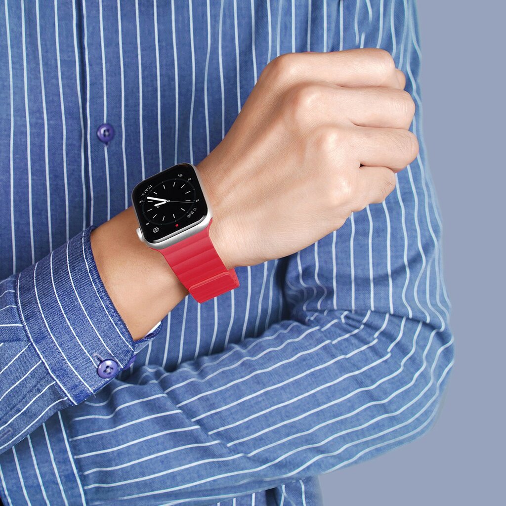 Dux Ducis Magnetic Watch Band цена и информация | Nutikellade aksessuaarid ja tarvikud | hansapost.ee