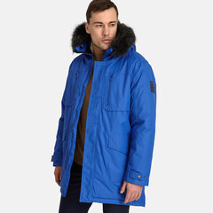 Парка мужская Huppa David 200g 12278020*70035, синяя цена и информация | Мужские куртки | hansapost.ee