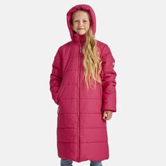 Детское пальто Huppa Nina 300 г 2590030*20026 12590030*00063, f 4741632123816 цена и информация | Куртки, пальто для девочек | hansapost.ee