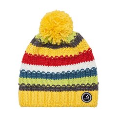Детская шапка Huppa Pat 94210000*70002, желтая, 4741468947549 цена и информация | Шапки, перчатки, шарфы для мальчиков | hansapost.ee