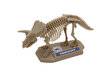 Komplekt Dinos Pocket Chap Mei Dino Valley, 542040 цена и информация | Arendavad laste mänguasjad | hansapost.ee