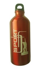 Metallpudel Sport, 600 ml price and information | Joogipudelid | hansapost.ee