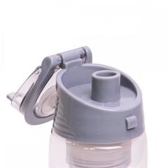 Бутылка для воды 660 мл с фруктовым фильтром KAMILLE 2303 цена и информация | Фляги для воды | hansapost.ee