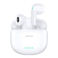 Joyroom TWS earphones wireless ENC waterproof IPX4 Bluetooth 5.3 white (JR-TL11) цена и информация | Наушники | hansapost.ee