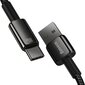 Baseus Tungsten Gold Cable USB to USB-C, 100W, 2m (black) цена и информация | Mobiiltelefonide kaablid | hansapost.ee