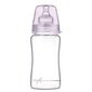 Klaaspudel Lovi Diamond glass Baby Shower girl, 250 ml цена и информация | Lutipudelid ja tarvikud | hansapost.ee