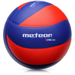Волейбольный мяч METEOR CHILI R&B, 5 размер цена и информация | Волейбольные мячи | hansapost.ee