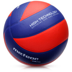 Волейбольный мяч METEOR CHILI R&B, 5 размер цена и информация | Волейбольные мячи | hansapost.ee