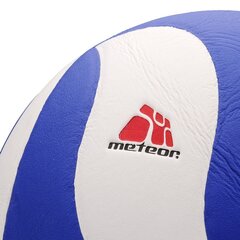 Võrkpalli pall Meteor MAX 2000, suurus 5 hind ja info | Meteor Spordikaubad | hansapost.ee