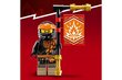71782 LEGO® NINJAGO Maa draakon цена и информация | Klotsid ja konstruktorid | hansapost.ee