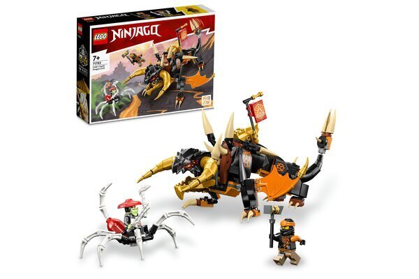 71782 LEGO® NINJAGO Maa draakon цена и информация | Klotsid ja konstruktorid | hansapost.ee