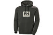 Meeste dressipluus Helly Hansen Tokyo Hoodie, hall цена и информация | Pusad meestele | hansapost.ee