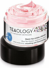 Näokreem Teaology Peach Tea Moisturising Cream, 50 ml hind ja info | TEAOLOGY Parfüümid, lõhnad ja kosmeetika | hansapost.ee