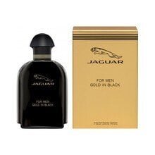 Тестер Jaguar Gold In Black EDT, 100 мл цена и информация | Женские духи | hansapost.ee