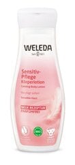 Молочко для тела Weleda Wild Rose Harmonising, 200 мл цена и информация | Кремы, лосьоны для тела | hansapost.ee