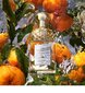 Tualettvesi Guerlain Aqua Allegoria Mandarine Basilic EDT naistele EDT 125 ml hind ja info | Parfüümid naistele | hansapost.ee