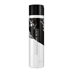 Puhastav šampoon Sebastian Reset, 250 ml price and information | Shampoos | hansapost.ee