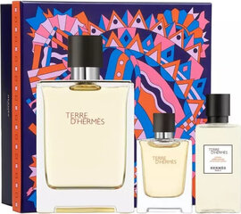 Hermès Terre D´ Hermes Edt Spray 100ml Set цена и информация | Мужские духи | hansapost.ee