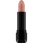 Lūpų dažai Catrice Shine Bomb 020-blushed nude, 3,5 g цена и информация | Huulekosmeetika | hansapost.ee