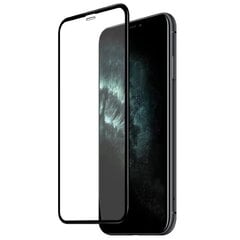 Riff 5D Защитное стекло для телефона на весь экран Apple iPhone XR / iPhone 11 Черное цена и информация | Защитные пленки для телефонов | hansapost.ee
