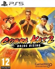 Видеоигра для Switch Just For Games Cobra Kai 2: Dojos Rising цена и информация | GameMill Entertainment Компьютерная техника | hansapost.ee