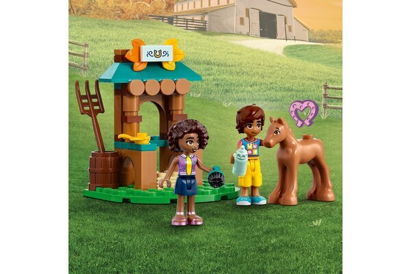 41730 LEGO® Friends Otumi maja цена и информация | Klotsid ja konstruktorid | hansapost.ee