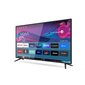 Allview 40iPlay6000-F/1 hind ja info | Televiisorid | hansapost.ee