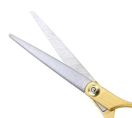 Ножницы APT AG76B цена и информация | Расчески, щетки для волос, ножницы | hansapost.ee