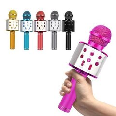 Karaokemikrofon ümbrisega, roosa hind ja info | Mikrofonid | hansapost.ee