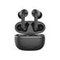 Forever Bluetooth ANC earphones TWE-210 Earp black цена и информация | Kõrvaklapid | hansapost.ee