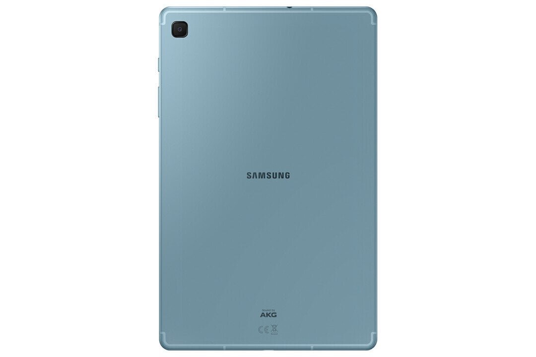 Samsung Galaxy Tab S6 Lite WiFi 64GB SM-P613NZBAATO цена и информация | Tahvelarvutid | hansapost.ee