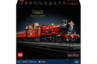 76405 LEGO® Harry Potter™ Хогвартс-Экспресс, Коллекционное издание цена и информация | Конструкторы и кубики | hansapost.ee